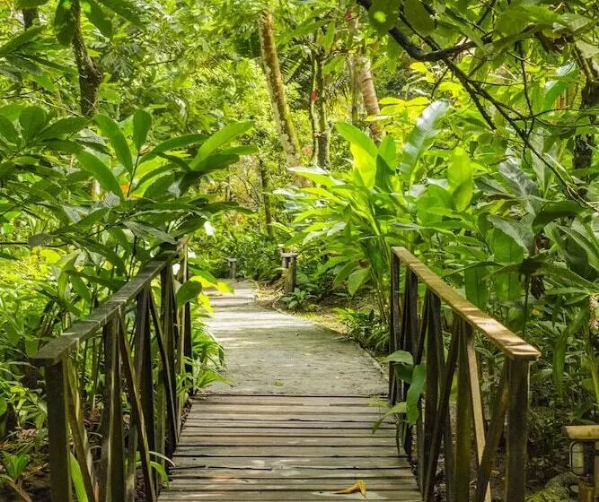 هتل Fond Doux Eco Resort