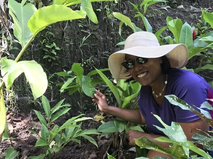 هتل Fond Doux Eco Resort