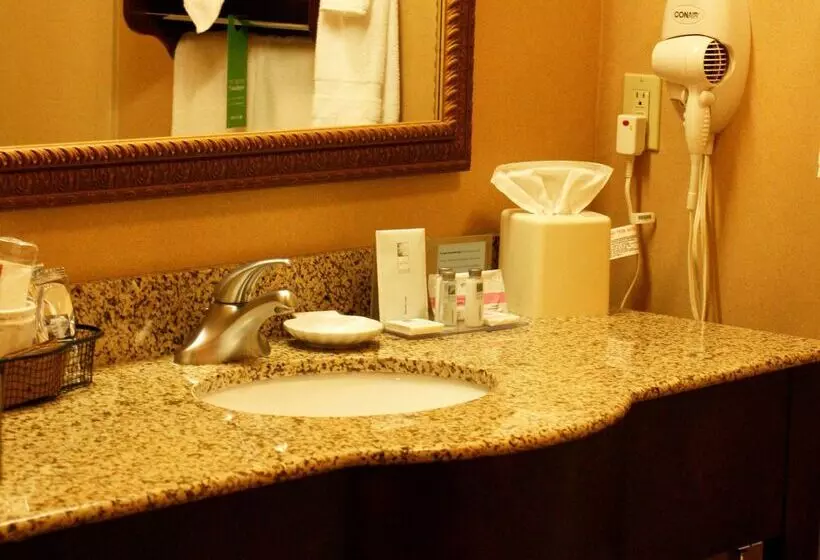 ホテル Hampton Inn Auburn