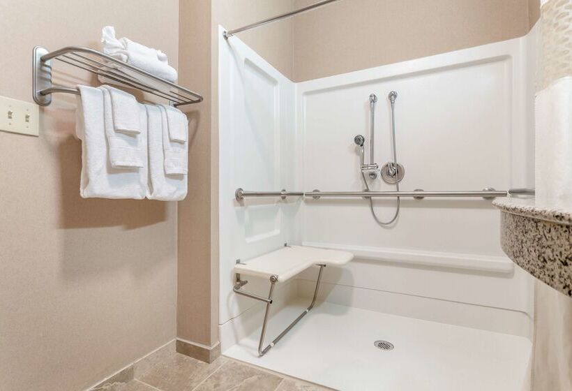 酒店 Hampton Inn Auburn