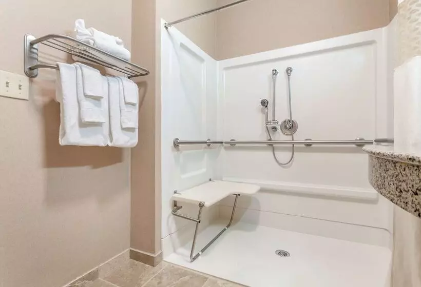 ホテル Hampton Inn Auburn