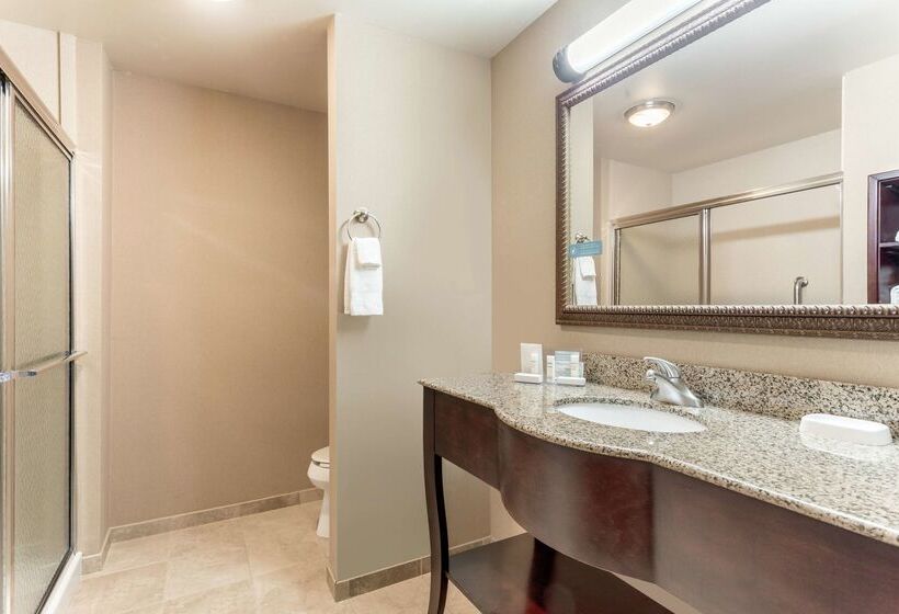 酒店 Hampton Inn Auburn