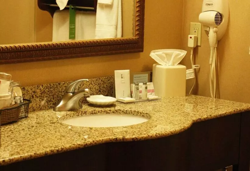 ホテル Hampton Inn Auburn