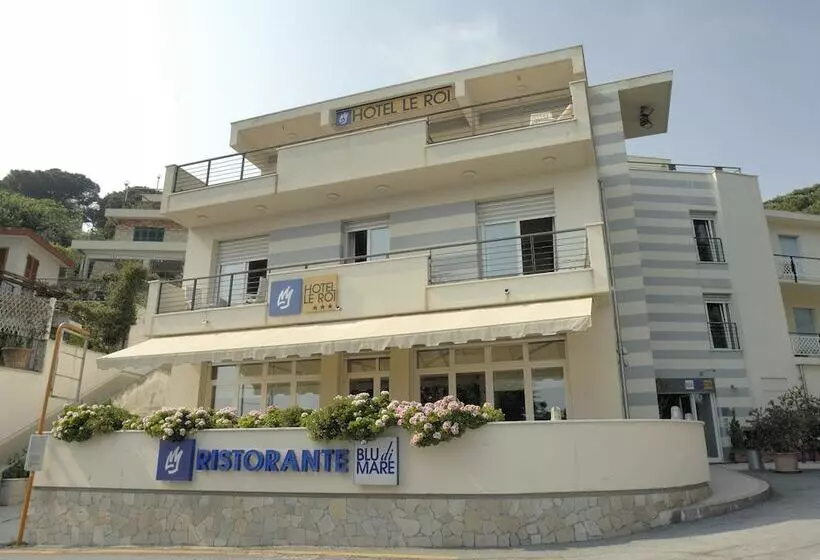 酒店 Le Roi