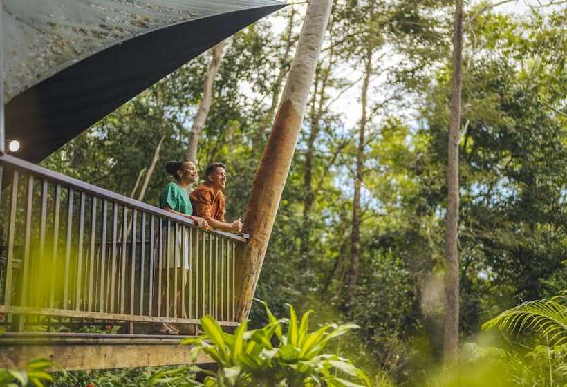 בית מלון כפרי Rose Gums Wilderness Retreat