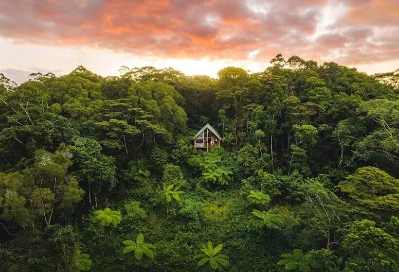 Отель Rose Gums Wilderness Retreat