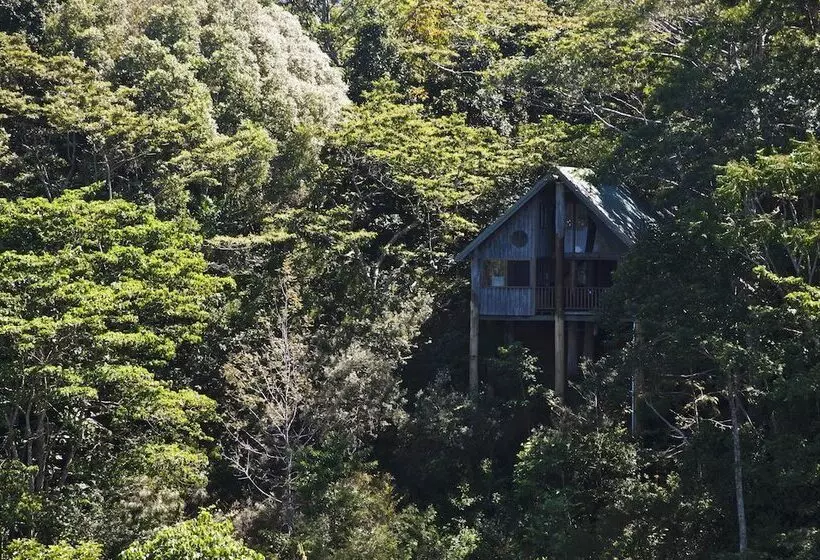 Отель Rose Gums Wilderness Retreat