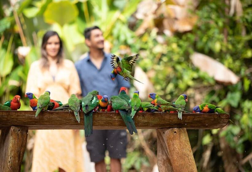 בית מלון כפרי Rose Gums Wilderness Retreat