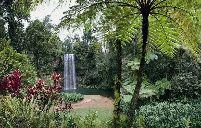 Отель Rose Gums Wilderness Retreat