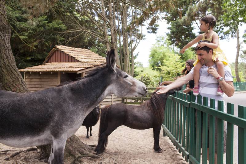 فندق Village Pierre & Vacances   Moliets