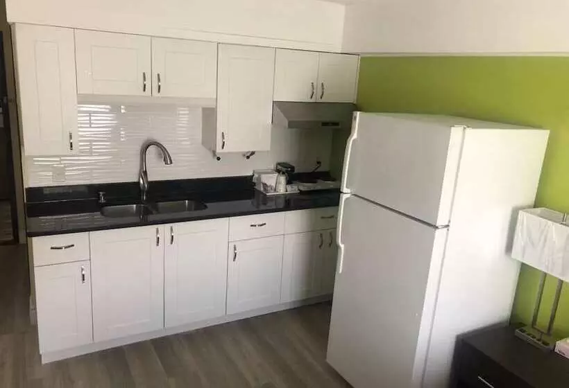 בית מלון כפרי Wallaceburg Inn