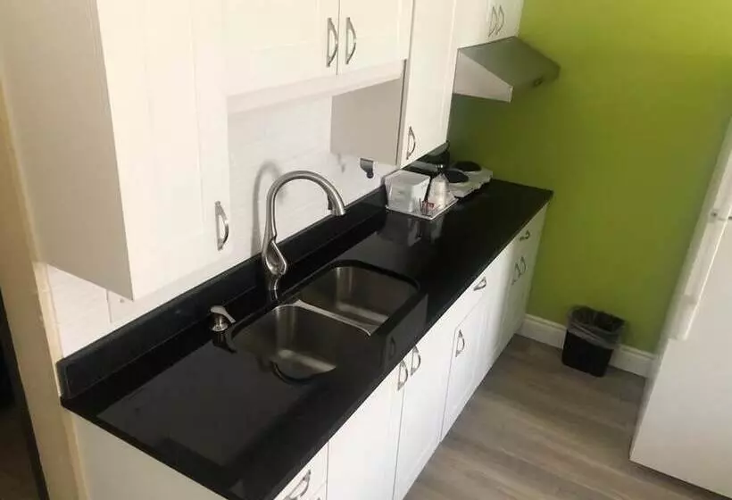 בית מלון כפרי Wallaceburg Inn