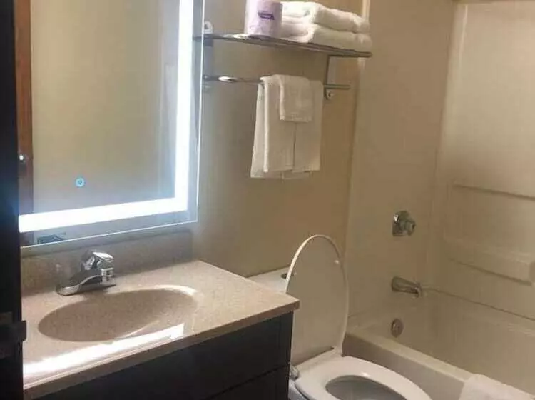 בית מלון כפרי Wallaceburg Inn