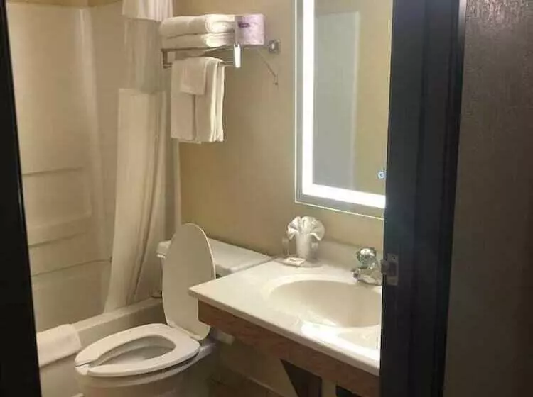 בית מלון כפרי Wallaceburg Inn