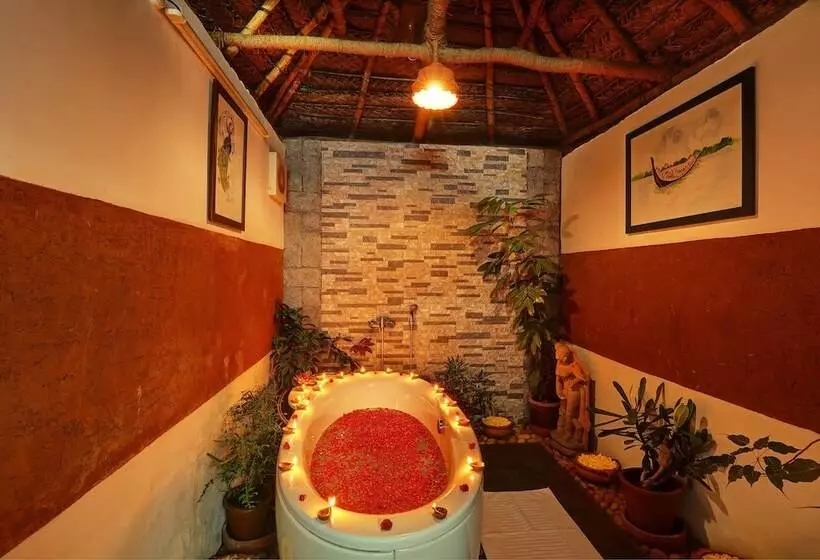 渡假胜地 Somatheeram Ayurveda Village