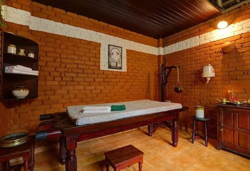 渡假胜地 Somatheeram Ayurveda Village