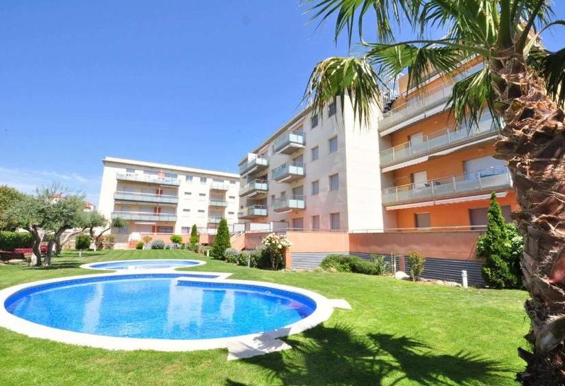 Sol Millet Litoral   Only Families