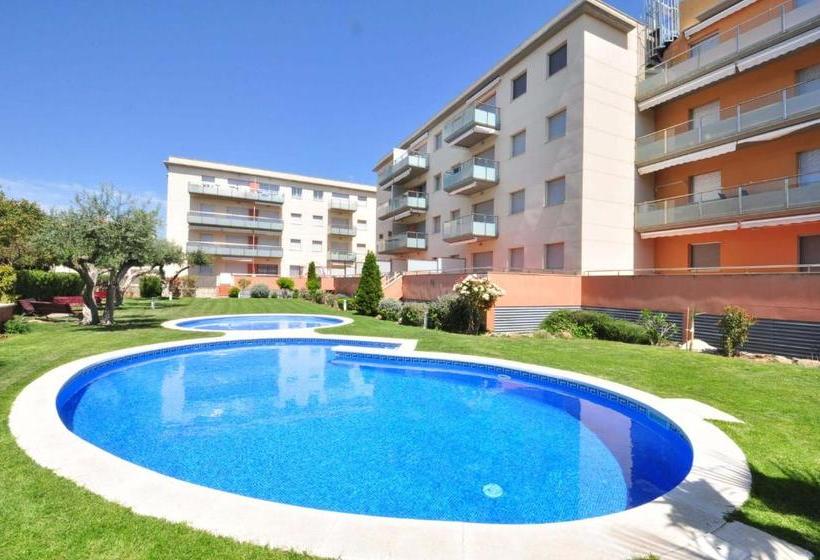 Sol Millet Litoral   Only Families