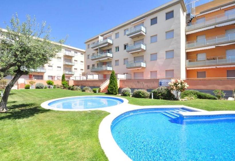 Sol Millet Litoral   Only Families