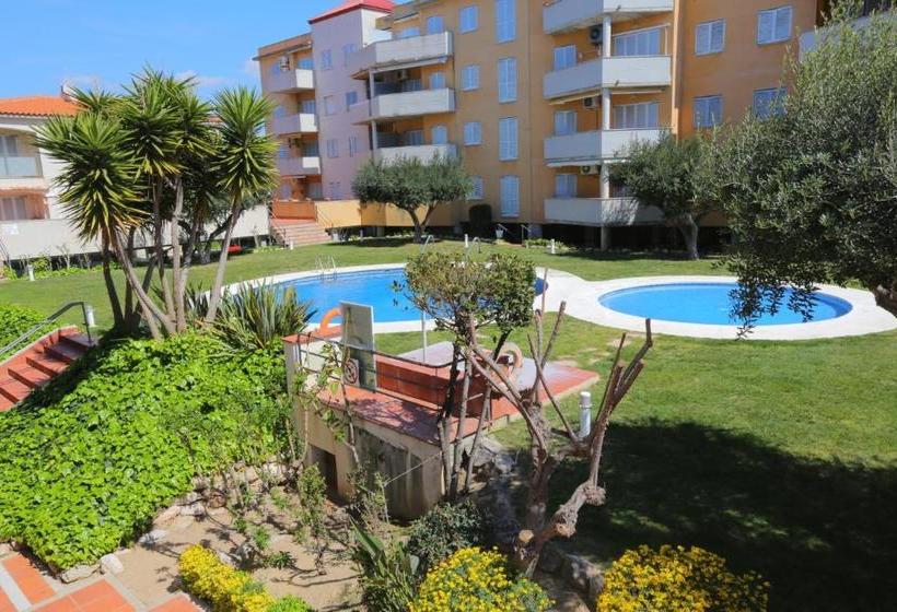 Sol Millet Litoral   Only Families