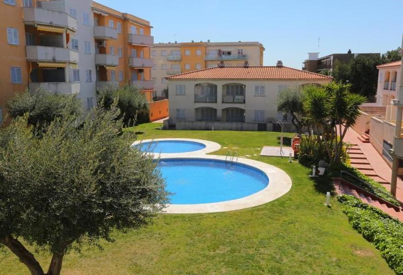 Sol Millet Litoral   Only Families