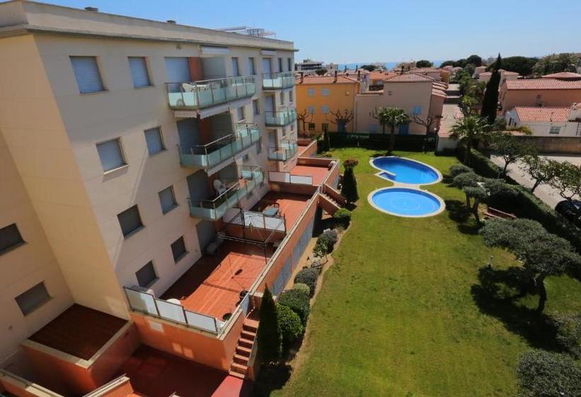 Sol Millet Litoral   Only Families