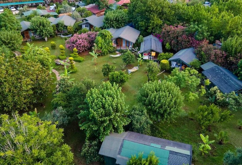 Etenna Beach Bungalows