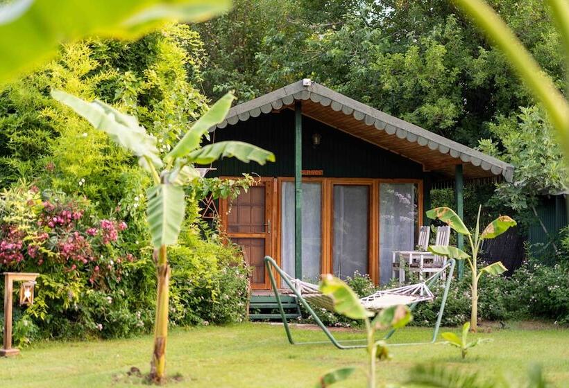 Etenna Beach Bungalows