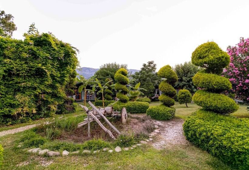 Etenna Beach Bungalows