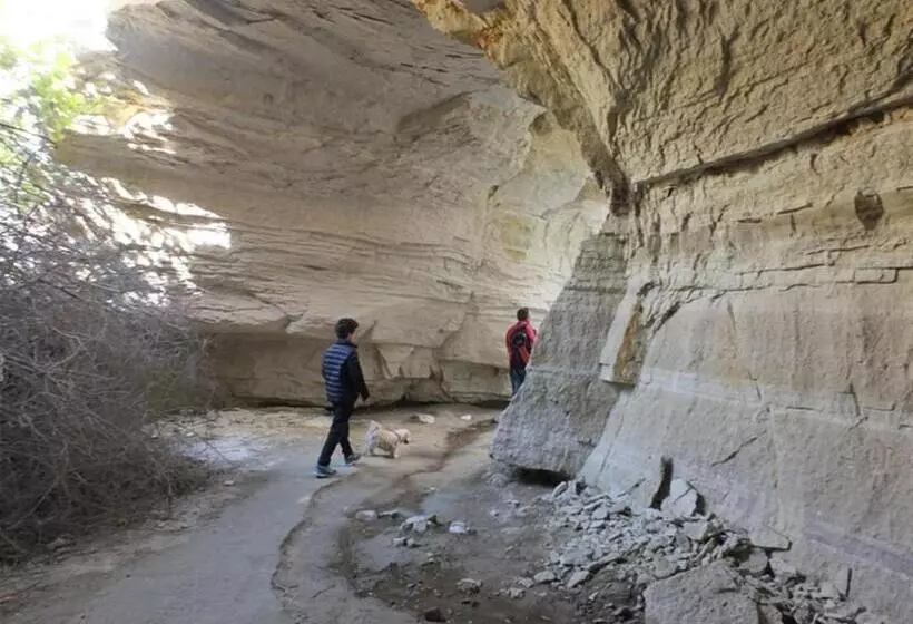 Anatolia Cave Hotel Pension