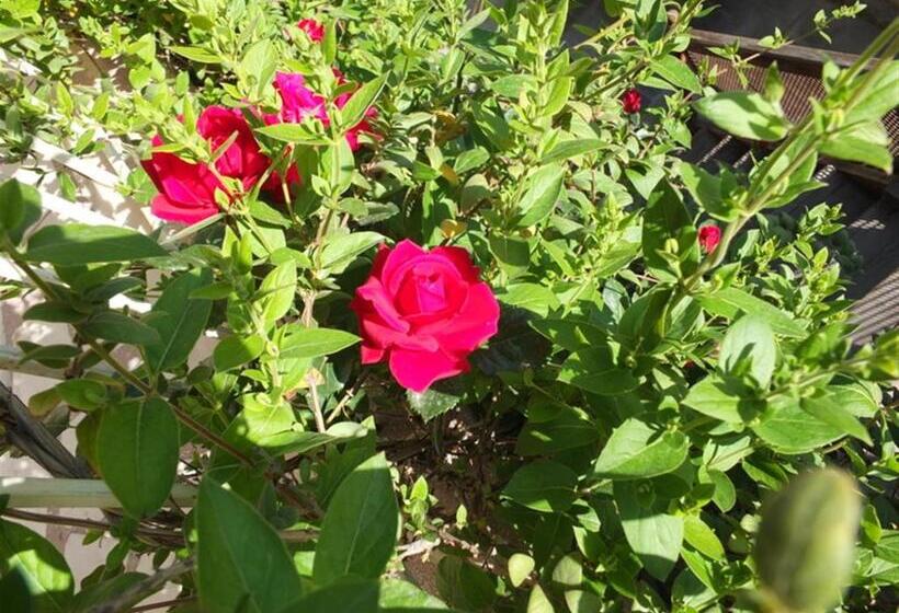 Anatolia Cave Hotel Pension