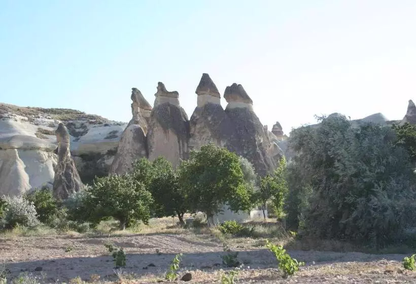 Anatolia Cave Hotel Pension