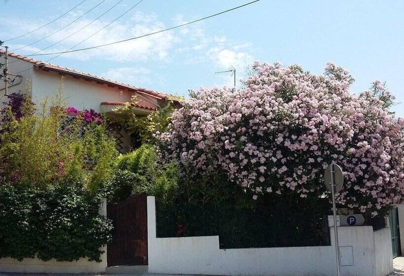 בית מלון כפרי Cielito Lindo