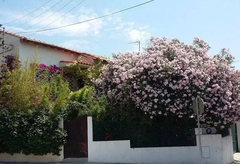 هتل Cielito Lindo