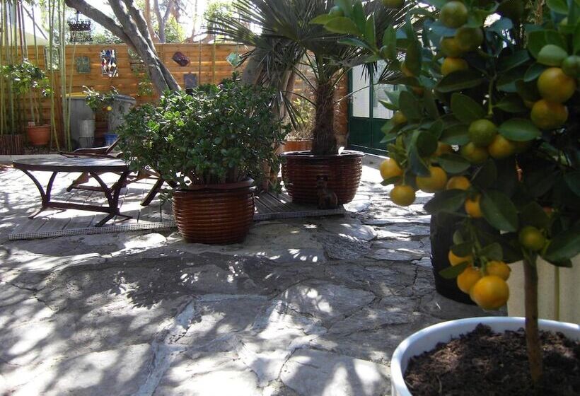 בית מלון כפרי Cielito Lindo