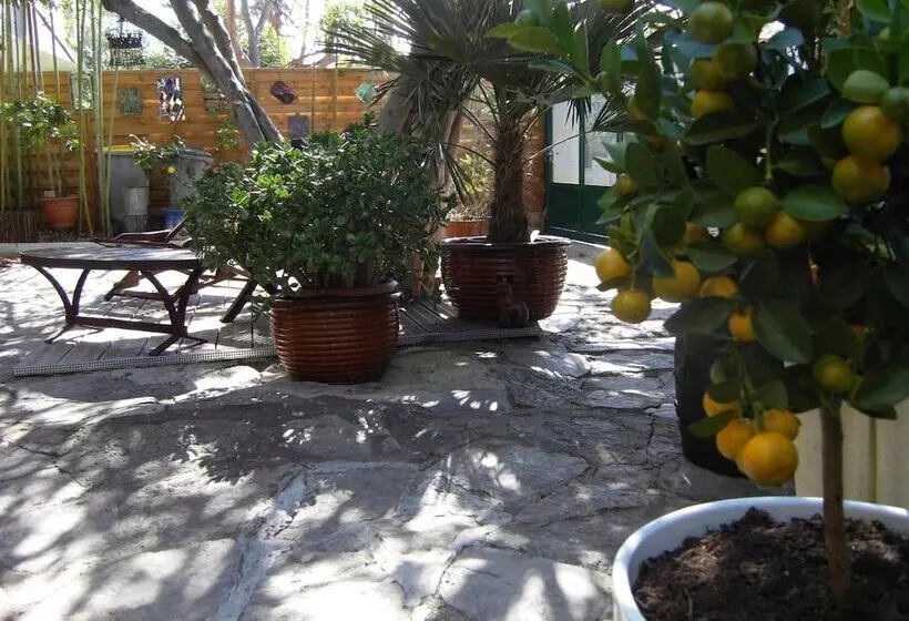 هتل Cielito Lindo