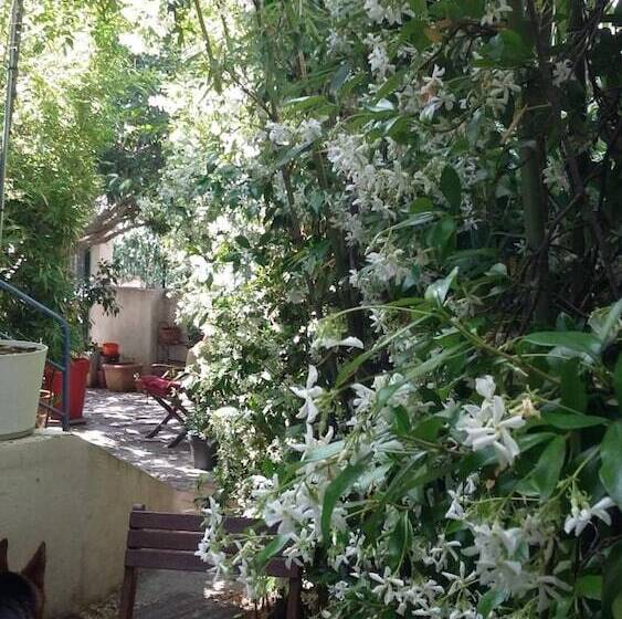 בית מלון כפרי Cielito Lindo