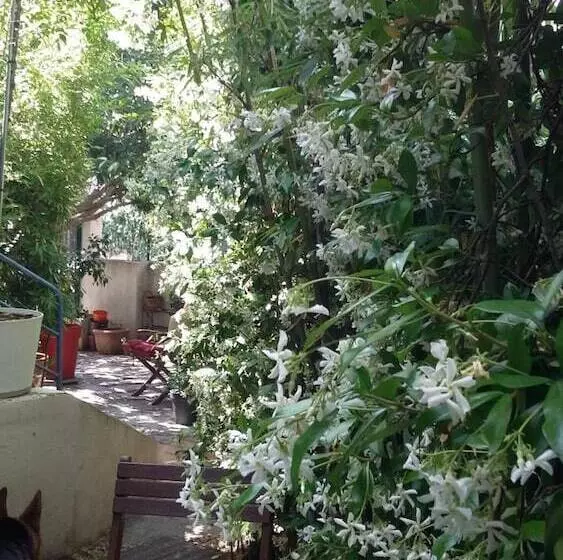 هتل Cielito Lindo