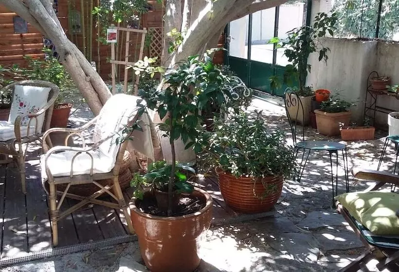 هتل Cielito Lindo