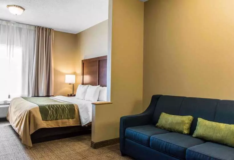 ホテル Comfort Inn Columbia Lancaster