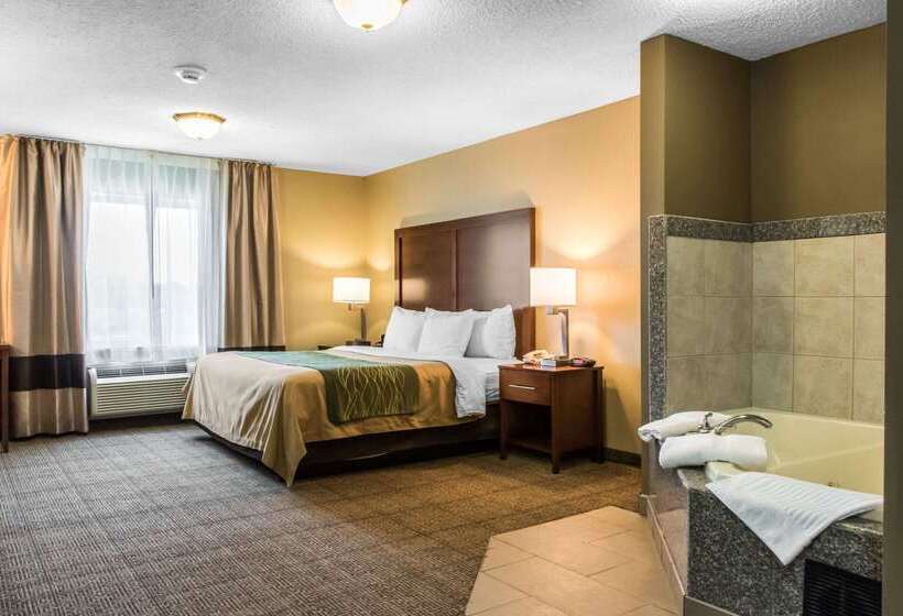 호텔 Comfort Inn Columbia Lancaster