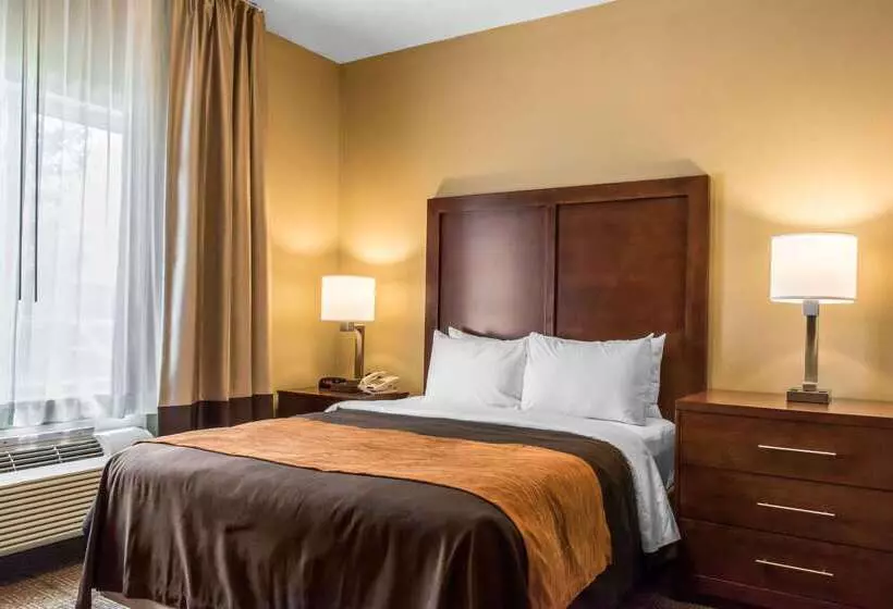 ホテル Comfort Inn Columbia Lancaster