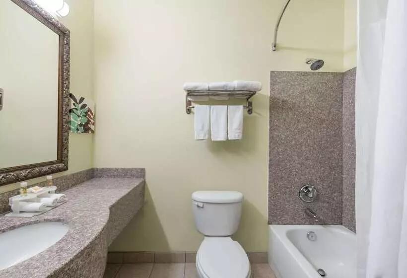 酒店 Days Inn & Suites By Wyndham Cleburne Tx