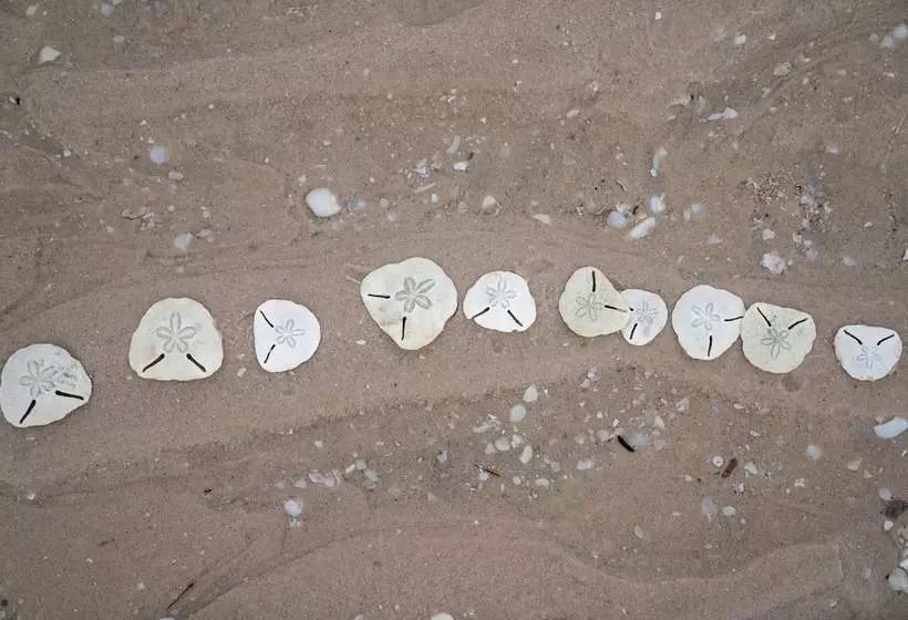 ホテル Dugong Beach Lodge