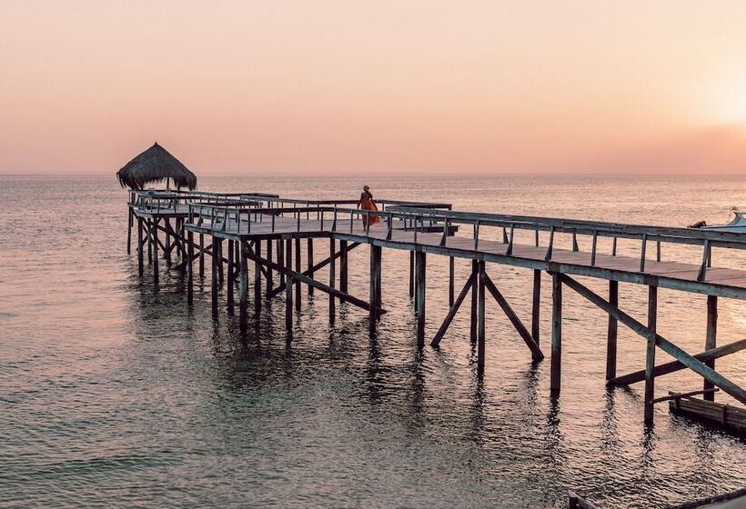 בית מלון כפרי Dugong Beach Lodge