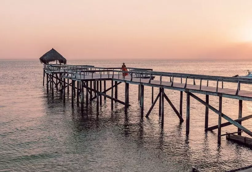 ホテル Dugong Beach Lodge