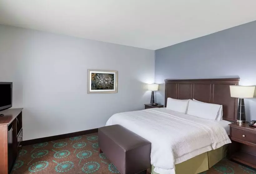Отель Hampton Inn & Suites Shreveport/bossier City Airline Drive