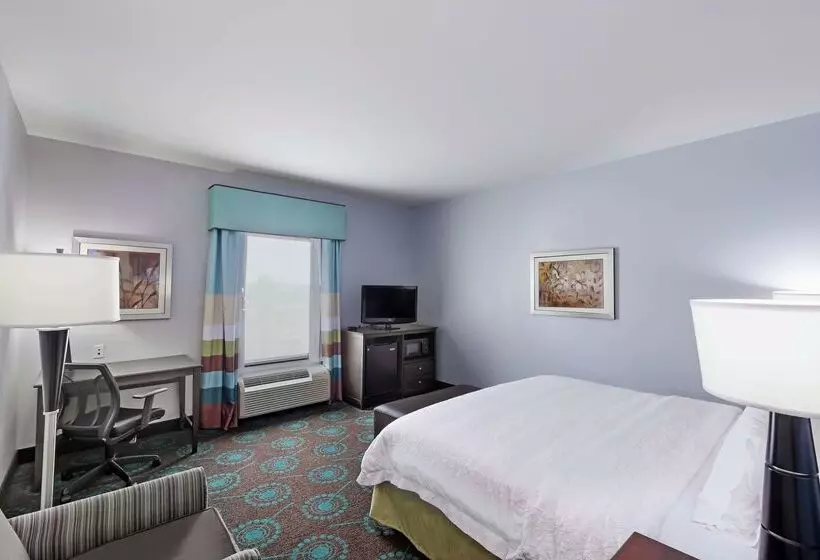 Отель Hampton Inn & Suites Shreveport/bossier City Airline Drive