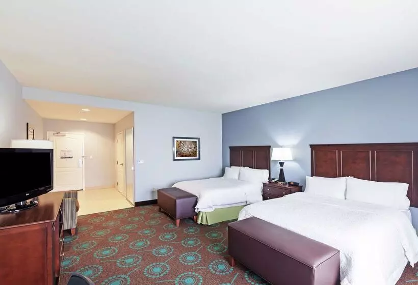 Отель Hampton Inn & Suites Shreveport/bossier City Airline Drive
