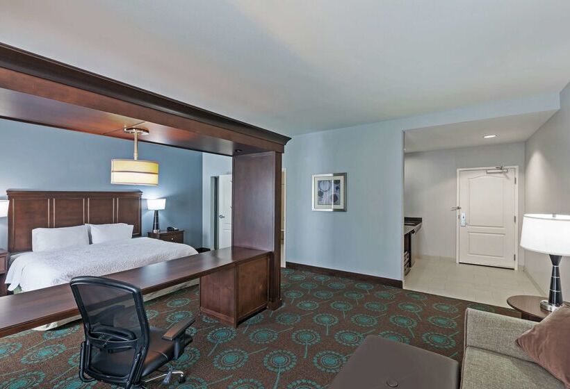 فندق Hampton Inn & Suites Shreveport/bossier City Airline Drive